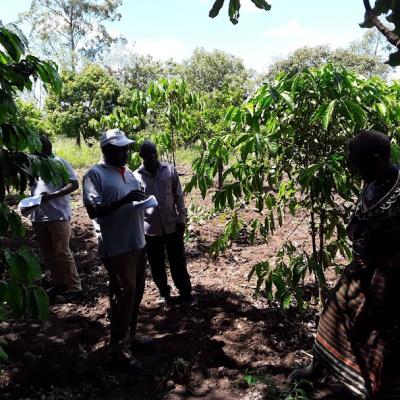 Field Assessment Nwoya