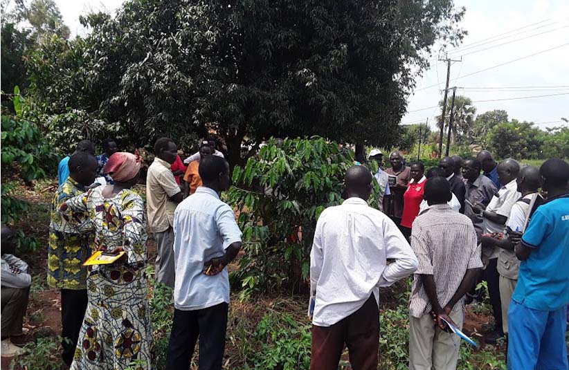 Northern Uganda Spice Initiative